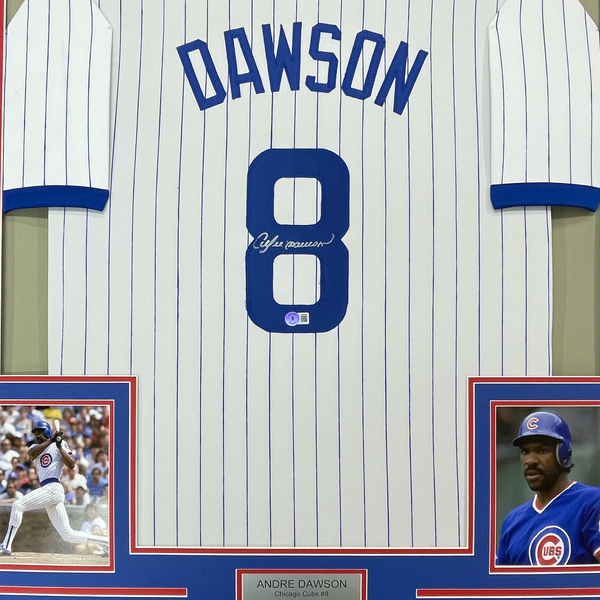 Framed Autographed/Signed Andre Dawson 35x39 Chicago White Pinstripe Baseball Jersey JSA COA